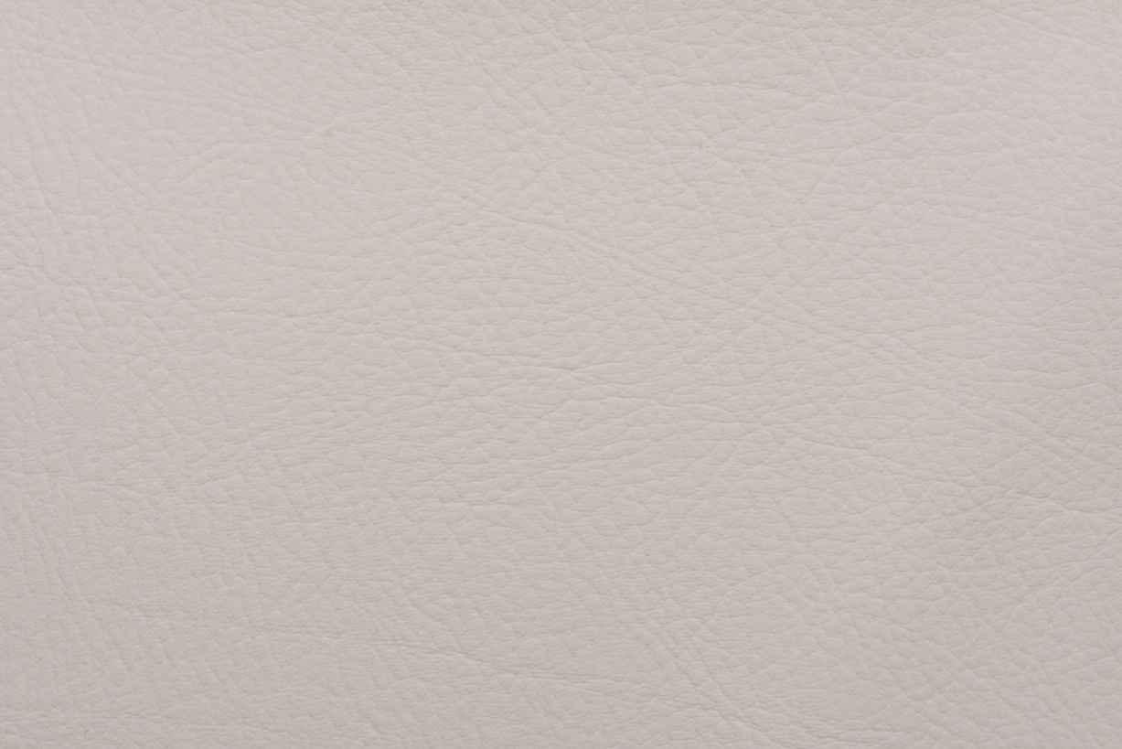 Odoo • Una imagen con una leyenda